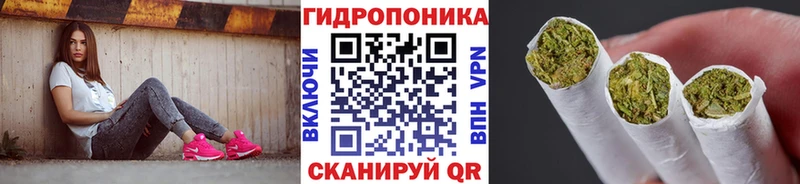 Наркота Макаров Бошки Шишки  Галлюциногенные грибы  Alpha-PVP  ГАШИШ  МЕГА tor  Меф мяу мяу 