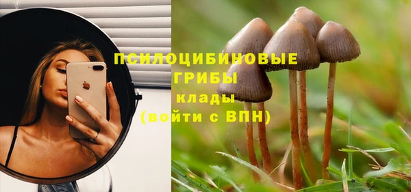 молекула духа Киреевск