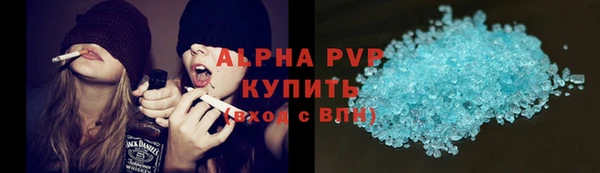 шишки Козельск