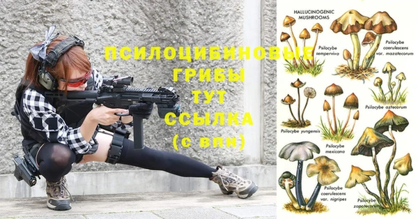 ешки Козловка