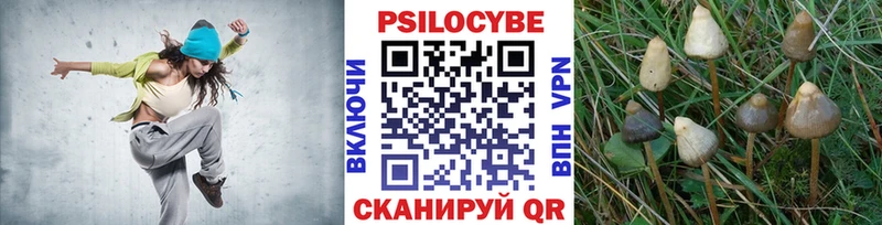 Галлюциногенные грибы MAGIC MUSHROOMS  Макаров 